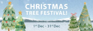 Graphic showing Christmas Tree Festival at Isle of Wight Pearl